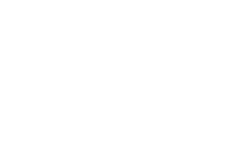 logo light